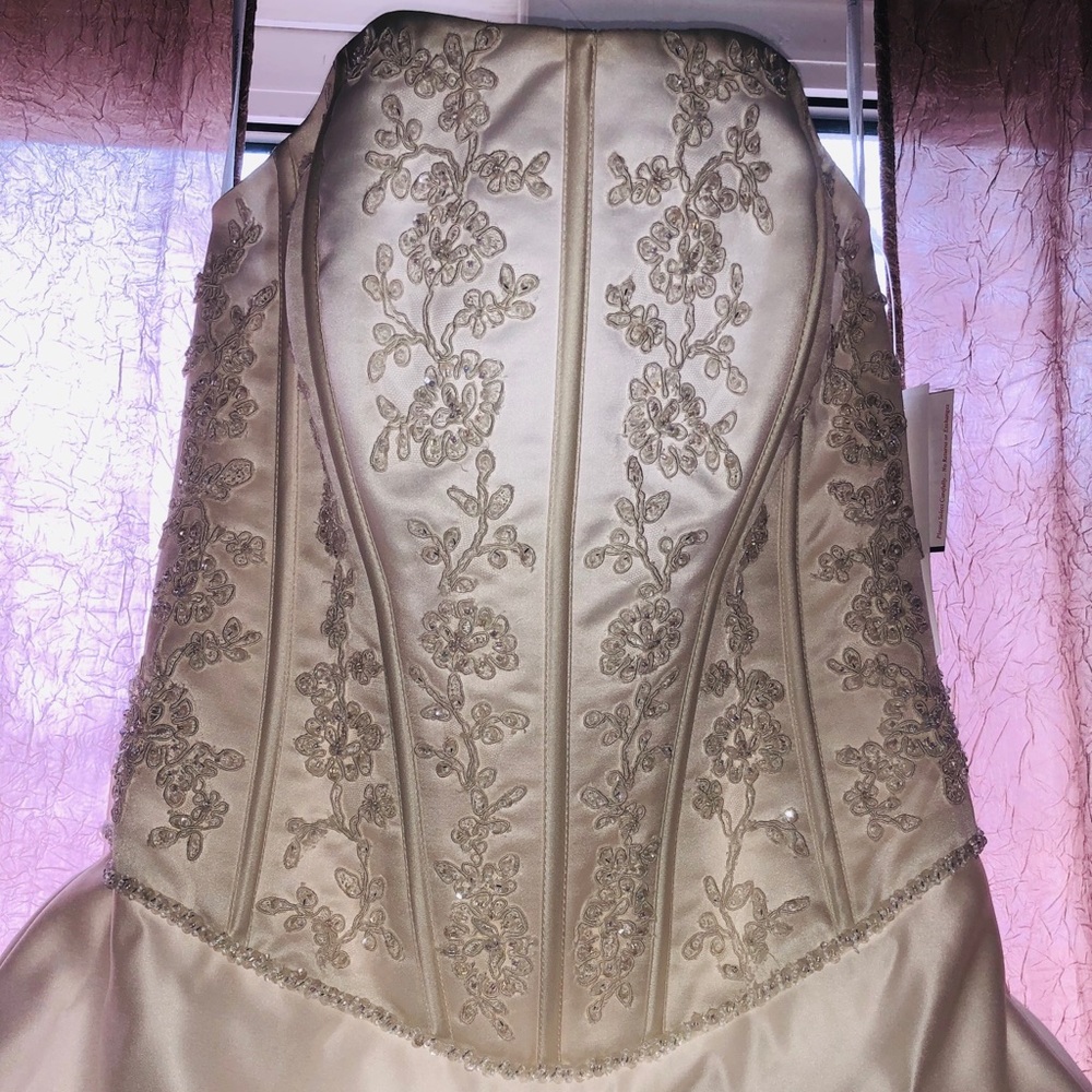 David’s Bridal Wedding Dress